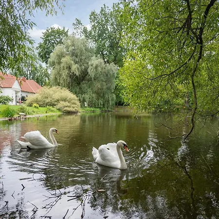 Apartment Botanical Garden Kaunas